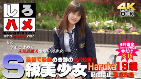 Heydouga 4017-PPV238 Part 5 Shiro hame amateur Haruka S class bishoujo The first and last miracle AV appearance