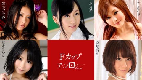 Caribbeancom CR-031225-001 F-Cup Anthology